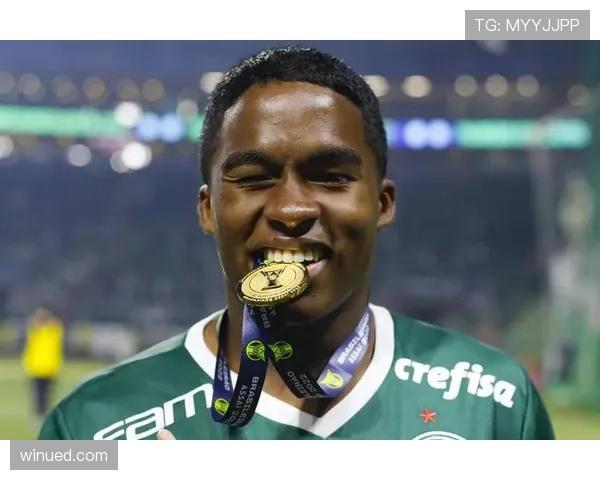 恩德里克在不同战术体系中的前锋角色适配性分析