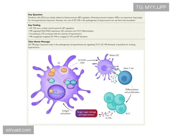 体系驱动下巴拉克与吉内布里组织角色的分化机制