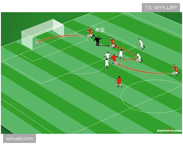 争球规则详解：关键判罚条件与比赛中应用标准